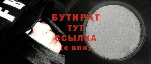 индика Вяземский
