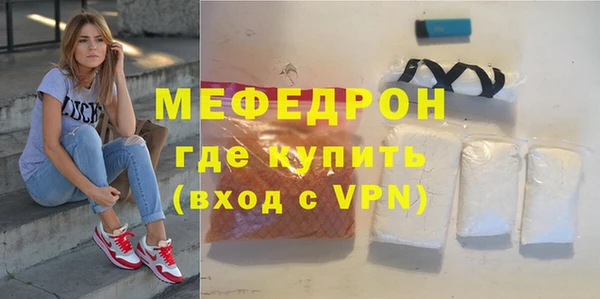 индика Вяземский