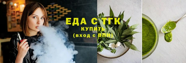 индика Вяземский
