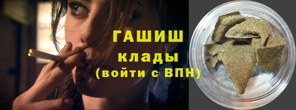 индика Вяземский