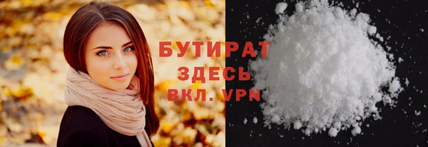 индика Вяземский