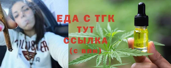 индика Вяземский
