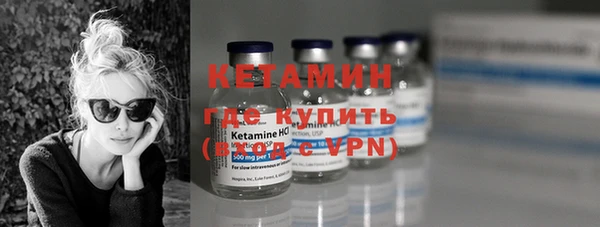 индика Вяземский