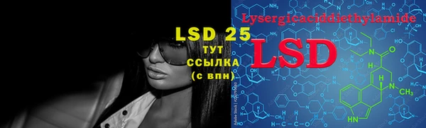 индика Вяземский