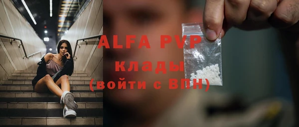 индика Вяземский