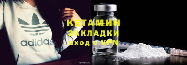 индика Вяземский