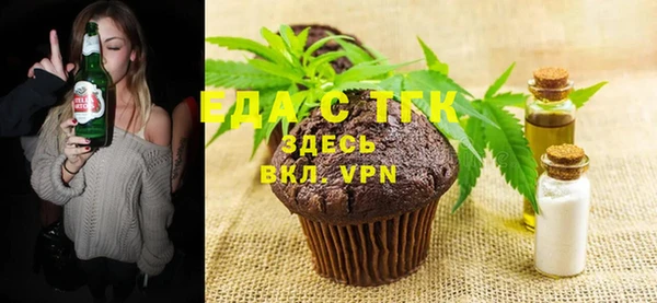 индика Вяземский