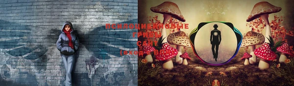 прущая мука Горно-Алтайск