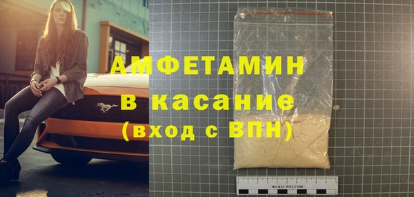 индика Вяземский