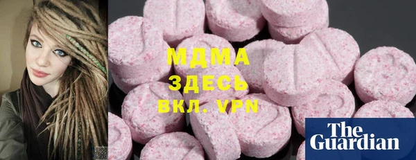 индика Вяземский