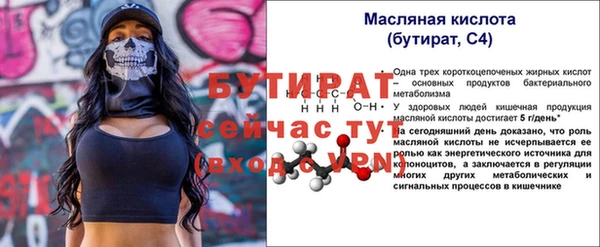 индика Вяземский
