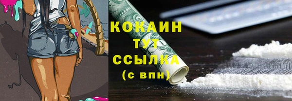 индика Вяземский