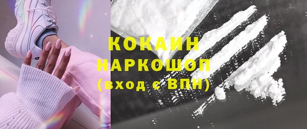 индика Вяземский