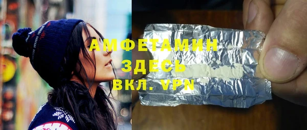 индика Вяземский