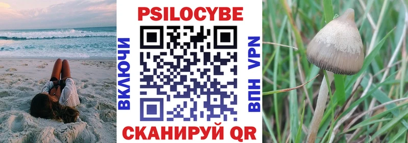 kraken ссылки  цена наркотик  Назрань  это состав  Галлюциногенные грибы Psilocybine cubensis 