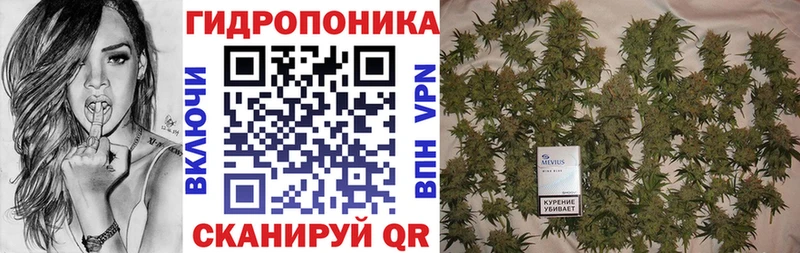 наркошоп  Назрань  Бошки Шишки White Widow 
